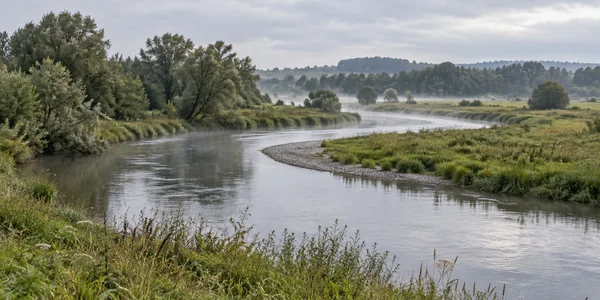 A broad silver river curves through a green meadow, with a pale gravel bar, reed-fringed banks, scattered trees, and low mist beneath an overcast sky.