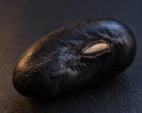 A single dark, elongated bean lies diagonally on a dark textured surface, with its pale oval hilum near the center-right.