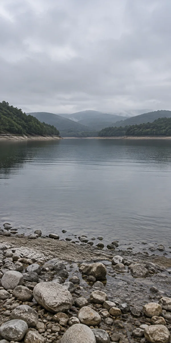 A calm reservoir viewed across a rocky shore, with pale stones in the foreground, still grey water, wooded hills fading into mist and a broad overcast sky.
