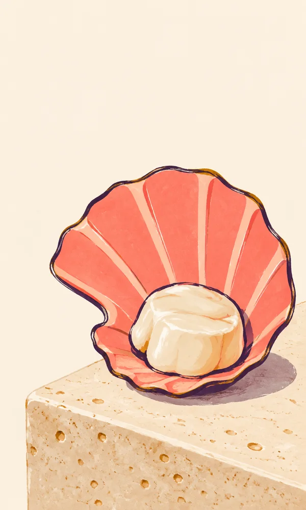 A plump ivory scallop rests in a broad coral-pink fan shell on a pale, speckled stone ledge, with a soft shadow and ample warm-cream space above.