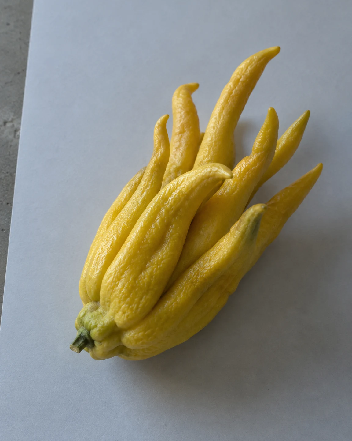 A yellow fingered citron with long, uneven lobes rests diagonally on pale-grey paper, with its green stem at the lower left and a strip of grey tabletop…