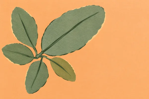 A top-down cut-paper illustration of a five-leaf sage sprig spreading across the left side of a warm apricot background, with a large leaf angled toward the…