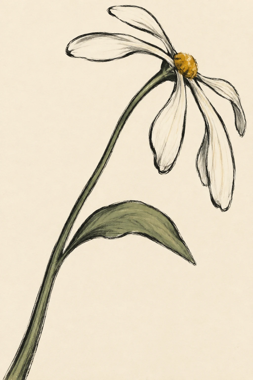 A hand-drawn daisy with a long arcing dark stem and one broad sage-green leaf.