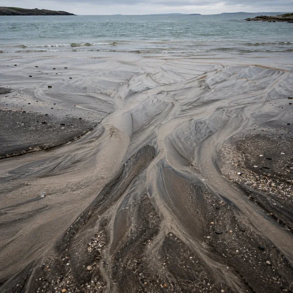 A pale, branching fan of shallow water and silt crosses dark shell-speckled beach sand toward a grey-green sea, with low rocky land along the horizon.