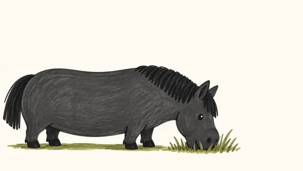 A charcoal-gray pony in side profile lowers its rounded muzzle into an olive-green grass tuft against a warm off-white background.