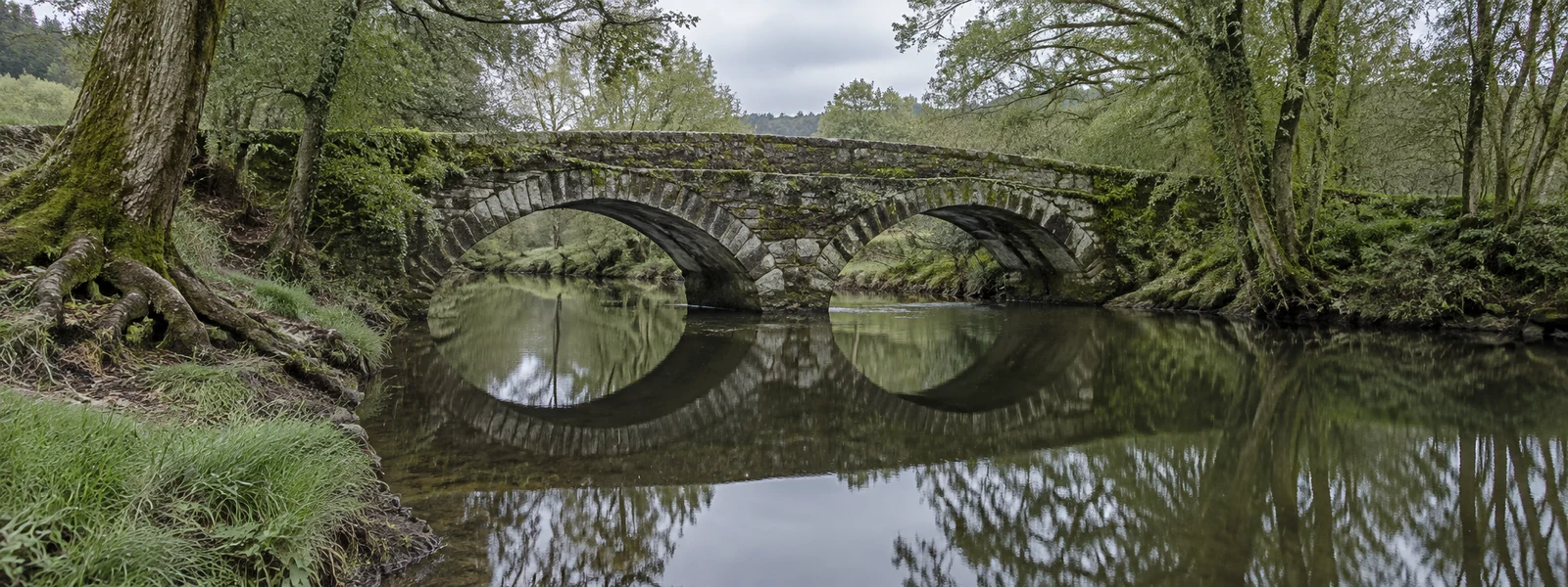 A moss-covered two-arch stone bridge crosses a still river, with its arches reflected in the water; tree roots and damp grass edge the bank beneath dense alder…