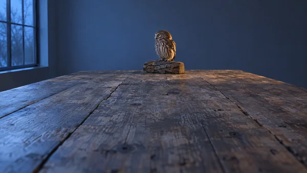 A small brown-and-cream owl stands on a bark-covered wood block at the far end of a weathered timber tabletop, with a blue-lit window at left and a plain…