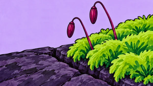 A bright lime-green moss patch spreads over a dark violet stone fissure, with two curved magenta stalks ending in hanging capsules.