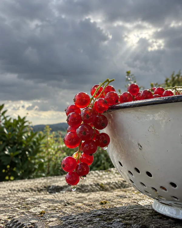 A glossy cluster of redcurrants hangs over the rim of a worn white enamel colander on a stone ledge, with garden foliage and a cloudy sky behind it.