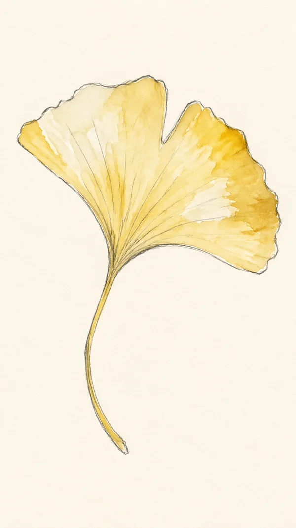A single pale golden-yellow ginkgo leaf, drawn in loose graphite and watercolor on warm ivory paper, with a long curved stem and radiating veins.