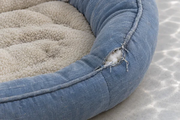 Close-up of a faded blue pet bed with a torn, frayed seam exposing white padding beside a cream fleece cushion, resting on a light-gray surface.