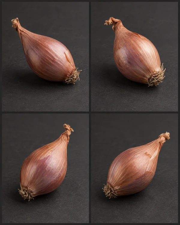 A four-panel contact sheet shows copper-mauve shallots resting on a dark charcoal surface, each viewed from a different angle with papery skin and root tufts…