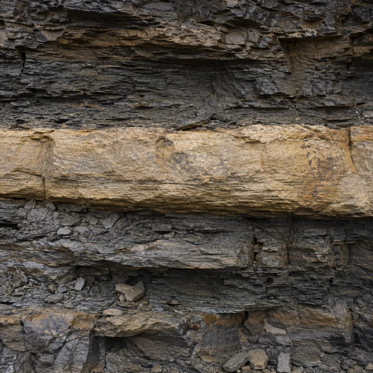 A close, straight-on view of a layered rock face, with a broad pale buff band crossing between darker grey-brown shale layers and loose flakes along the lower…