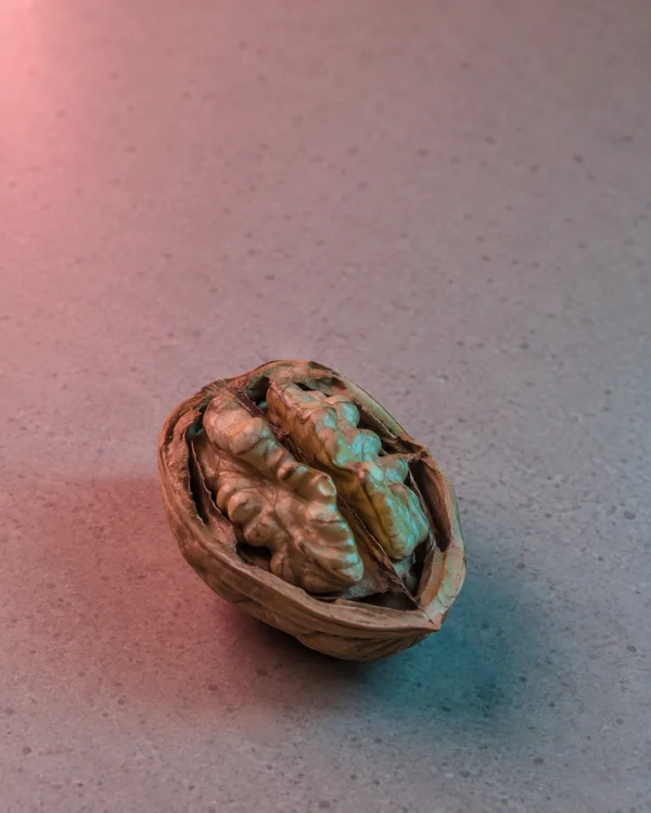 An opened walnut with its ridged kernel exposed sits diagonally on a gray counter, lit with rose tones from the left and cyan tones from the right.
