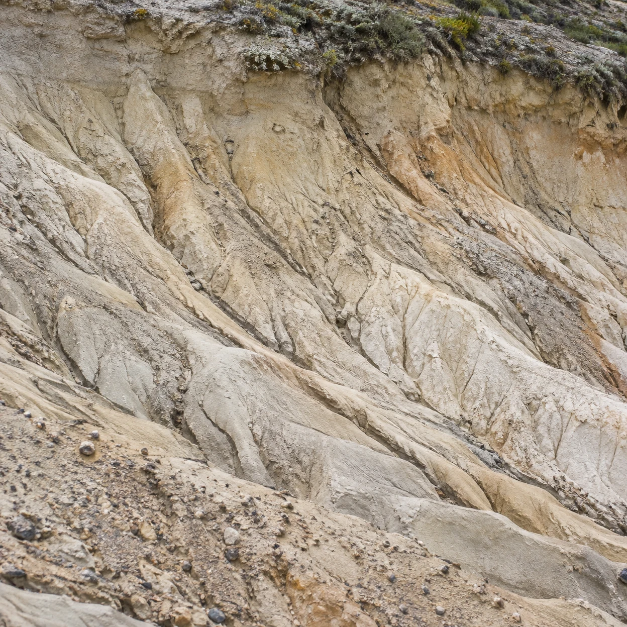 A close view of a pale, steep clay bank carved into branching grooves, with scattered pebbles and a strip of low greenery along the top edge.