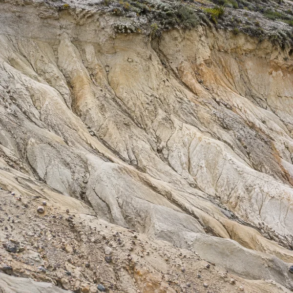 A close view of a pale, steep clay bank carved into branching grooves, with scattered pebbles and a strip of low greenery along the top edge.