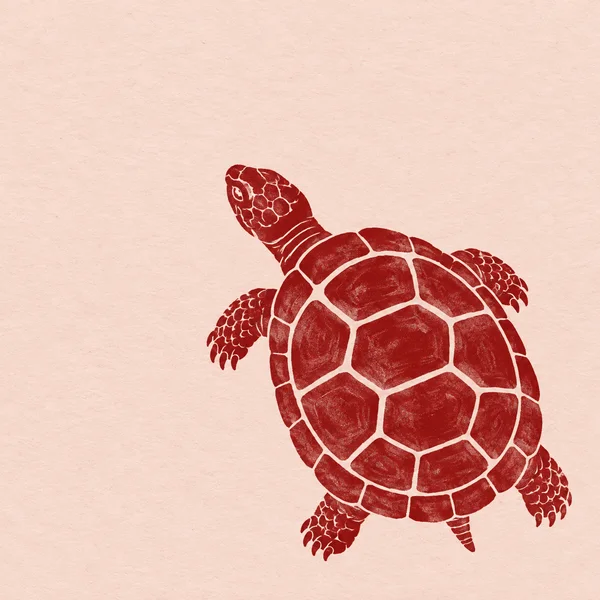 A deep red linocut-style tortoise viewed from above on pale blush textured paper, with its head angled toward the upper left and a broad polygonal shell…