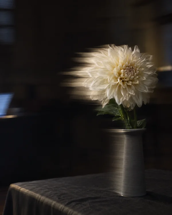 A cream dahlia with green leaves stands in a narrow grey vase on a charcoal-covered table against a dark interior.