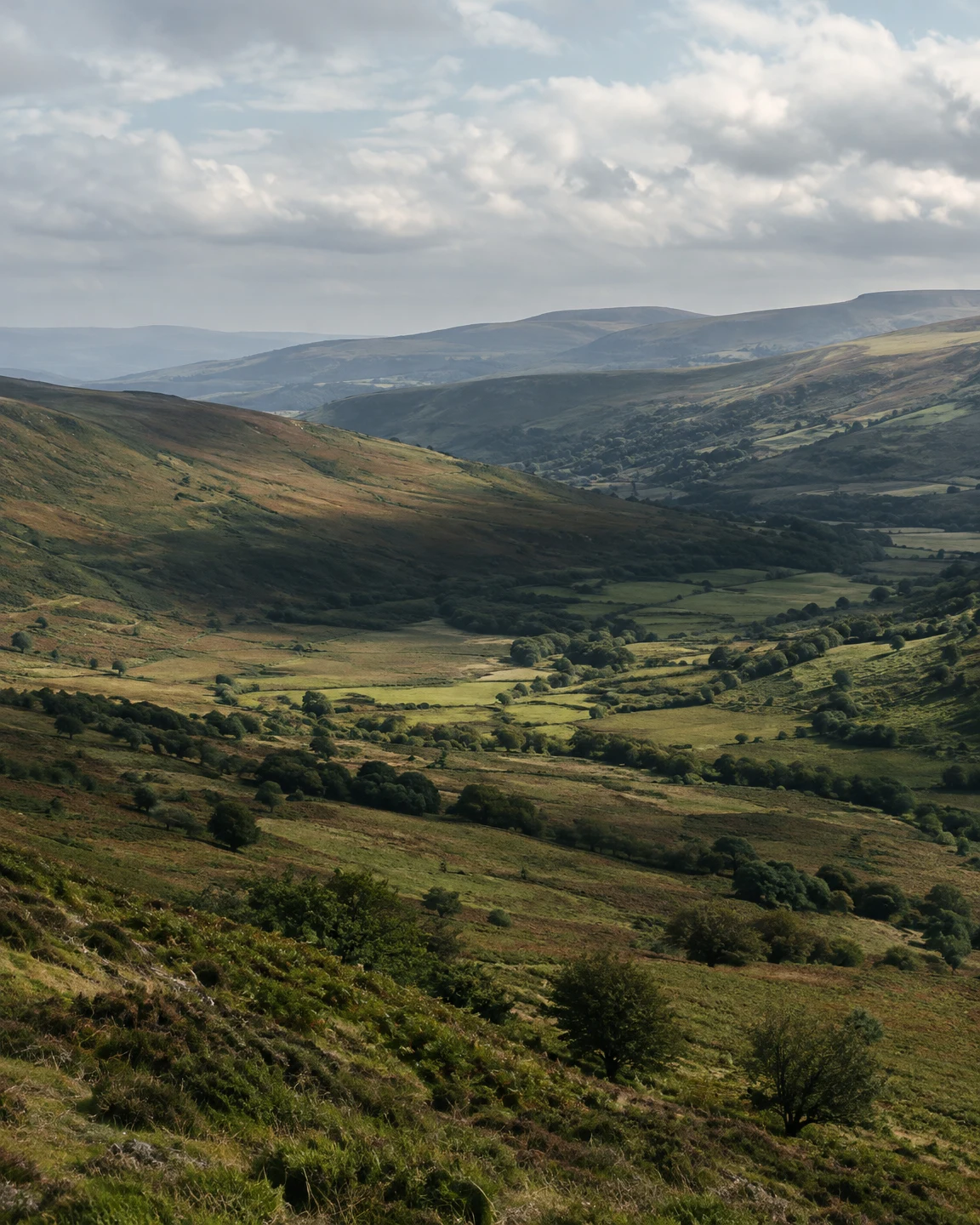 An elevated view across a broad upland valley with grassy and bracken-covered slopes, hedgerow lines and scattered trees.