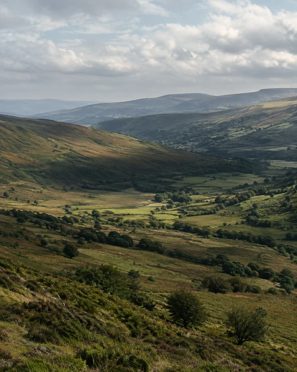 An elevated view across a broad upland valley with grassy and bracken-covered slopes, hedgerow lines and scattered trees.