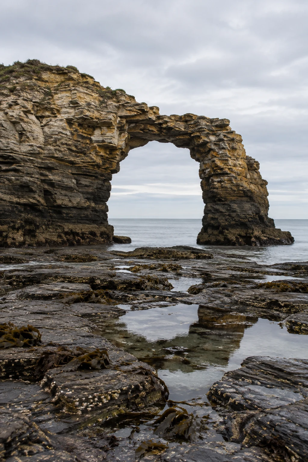 A layered sandstone sea arch rises above a wet, dark rock shelf with shallow tidal pools and strands of kelp; a calm grey sea and faint horizon show through…
