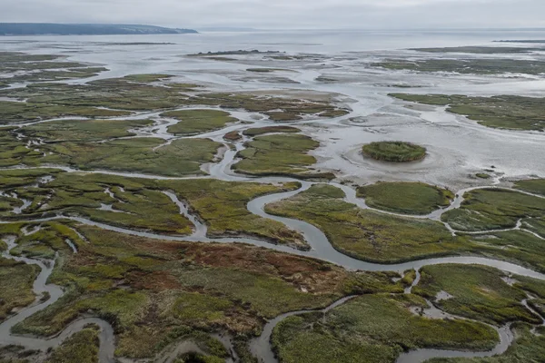 An oblique aerial view across a tidal salt marsh, where narrow silver-grey creeks wind through green and russet vegetation toward a flat grey sea; a rounded…