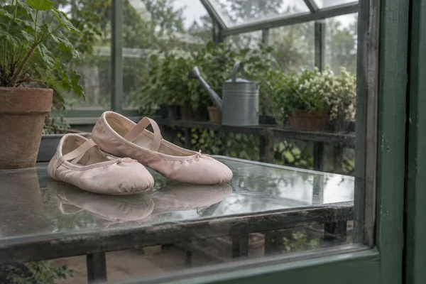 A pair of blush-pink canvas ballet slippers rests on a reflective glass-topped table inside a greenhouse, with potted plants and a metal watering can behind…