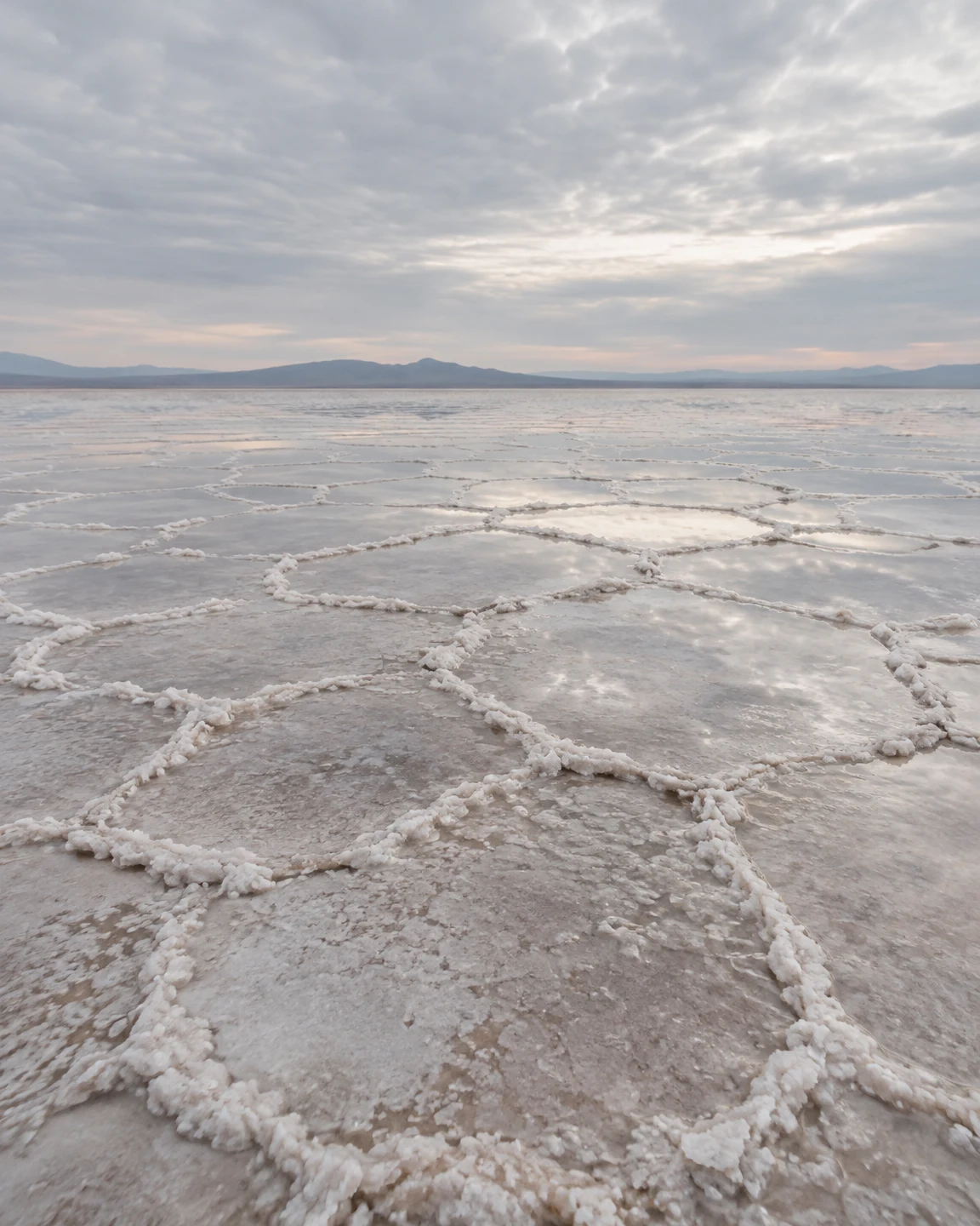 A low view across a vast salt flat, where raised white salt edges trace polygonal cracks through shallow reflective brine; a distant line of hills sits beneath…