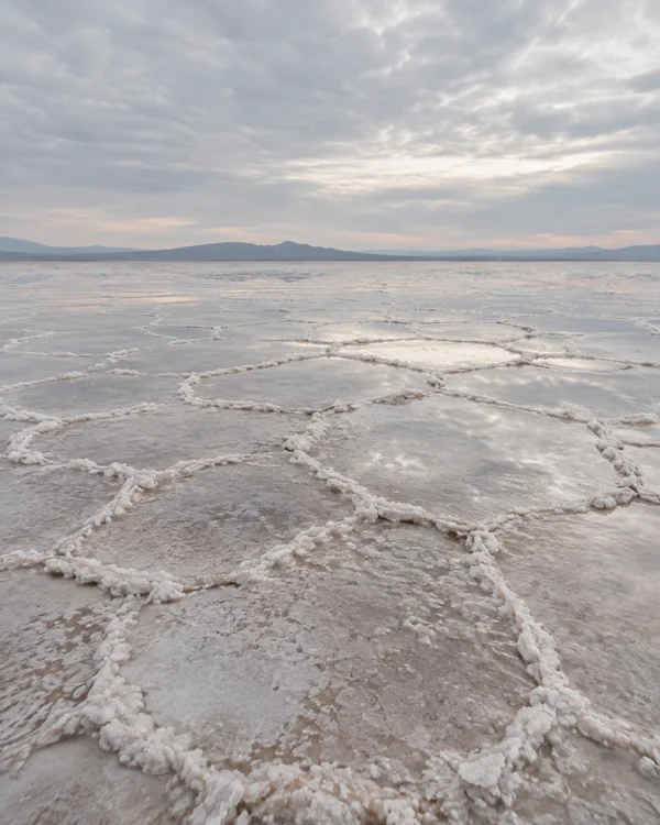 A low view across a vast salt flat, where raised white salt edges trace polygonal cracks through shallow reflective brine; a distant line of hills sits beneath…