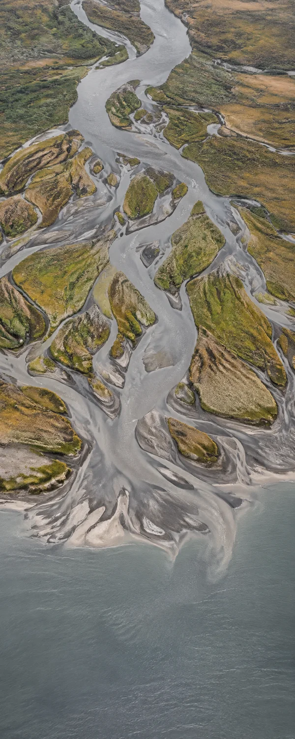 A high, near-vertical view of a grey river channel branching through green and ochre marshland, pale sandbars and dark mud before opening into calm grey sea at…