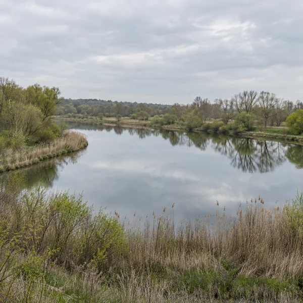 A still crescent-shaped lake reflects a cloudy pale-grey sky, with reed beds and grasses in the foreground and early-spring trees lining the far bank.