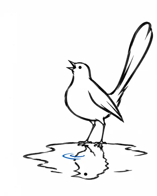 A black marker-style outline of a long-tailed bird stands beside a broad irregular puddle, with a broken inverted reflection and a small blue ripple mark…