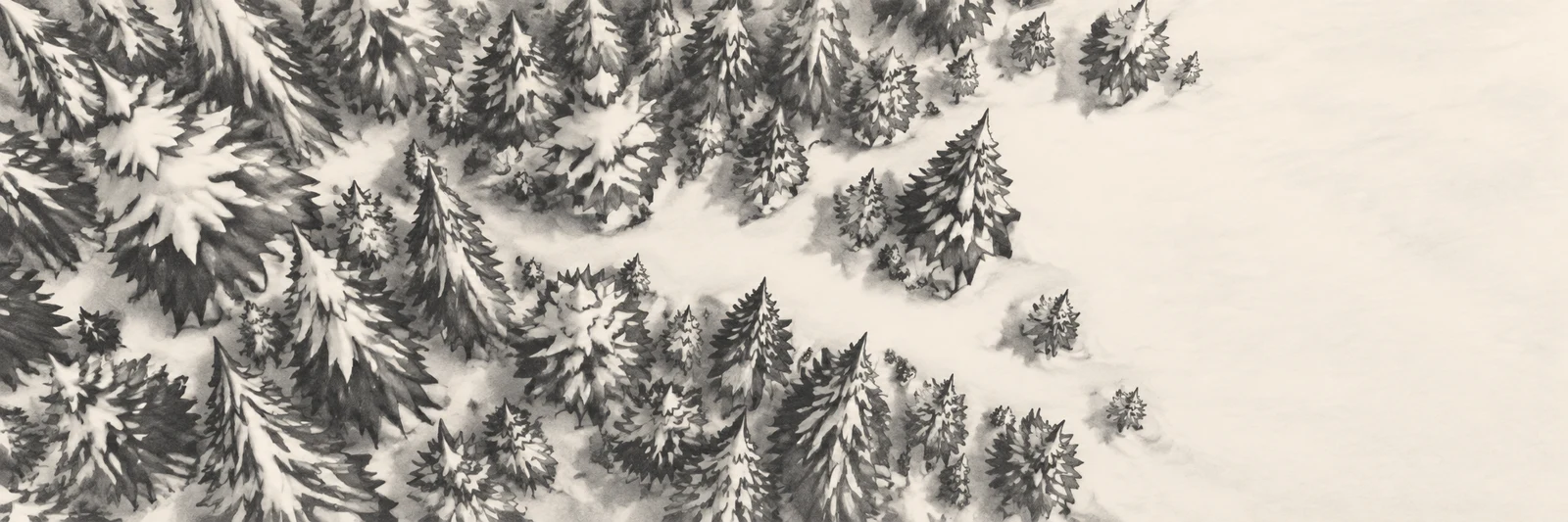 An overhead winter forest of dark, snow-dusted spruce crowns surrounds an irregular pale clearing that opens toward the right, rendered in charcoal and…