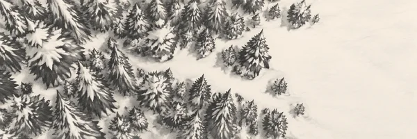 An overhead winter forest of dark, snow-dusted spruce crowns surrounds an irregular pale clearing that opens toward the right, rendered in charcoal and…