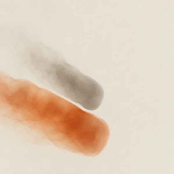 Two translucent smoke-like forms, one burnt orange and one warm grey, sweep diagonally across the lower-left area of a pale limestone-coloured field, leaving…