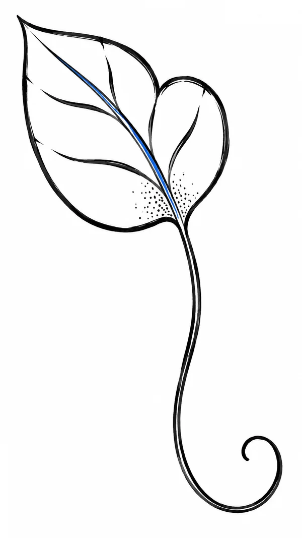 A hand-drawn, asymmetrical heart-shaped leaf outlined in black, with branching veins, a blue central stroke, stipple dots near its base, and a long curling…