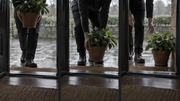 A three-panel sequence shows a person in dark clothing carrying a leafy plant in a terracotta pot through an open doorway, lowering it, then leaving it beside…