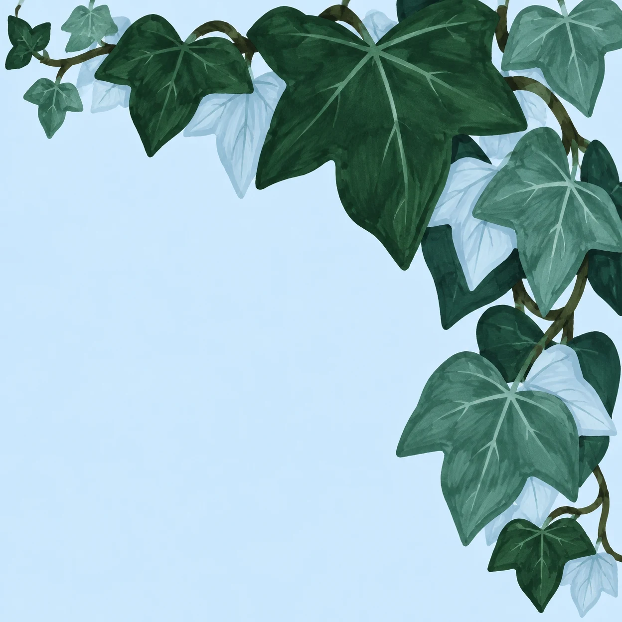 Large dark-green and muted-teal lobed leaves with pale-blue undersides curl along branching stems across the top and down the right edge, leaving a broad…