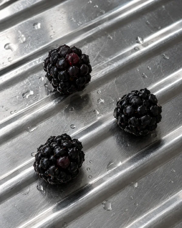 Three dark blackberries sit separately in a loose diagonal triangle on a wet stainless-steel draining board, whose raised grooves and scattered water droplets…