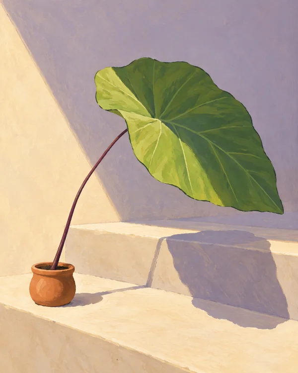 A small terracotta pot on a cream stair tread holds a slender burgundy stem and an oversized green leaf.