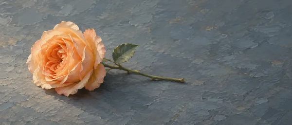 A peach-apricot rose with one attached green leaf lies on a blue-gray textured surface, its stem extending to the right beneath broad empty space.