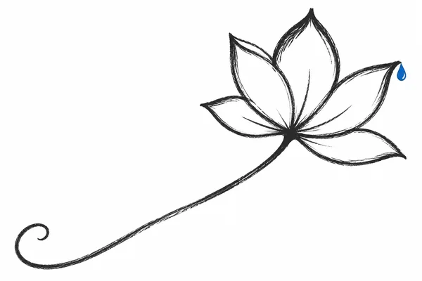 A five-petaled lotus blossom drawn in rough black charcoal lines sits in the upper right, with a long curved stem sweeping down and left into an open curl.