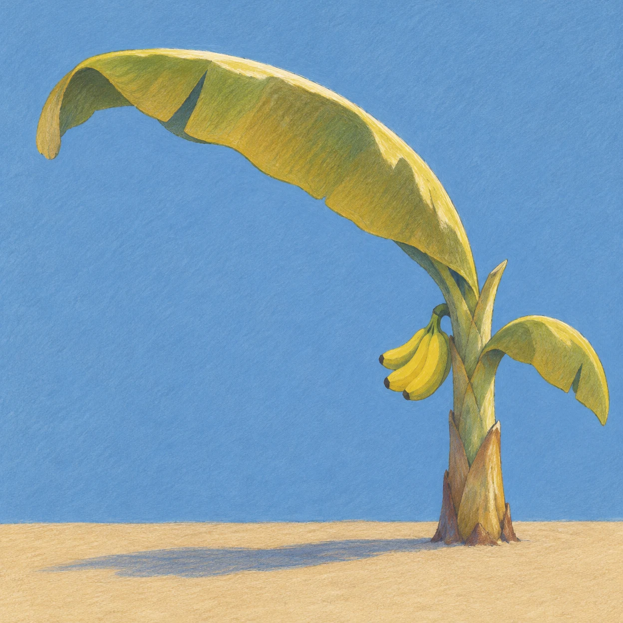A hand-drawn banana plant stands right of center on a sandy strip against a dusty blue background.