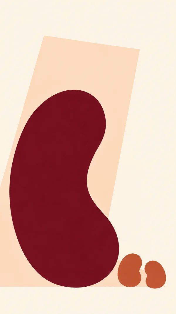 A large deep burgundy kidney-bean silhouette fills the lower-left and center of an ivory background, with two small terracotta beans beside its lower-right end…