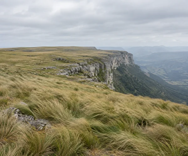 Golden-green tussock grass covers a broad rocky plateau leading to a pale cliff edge above a hazy valley, beneath a cloudy grey sky.