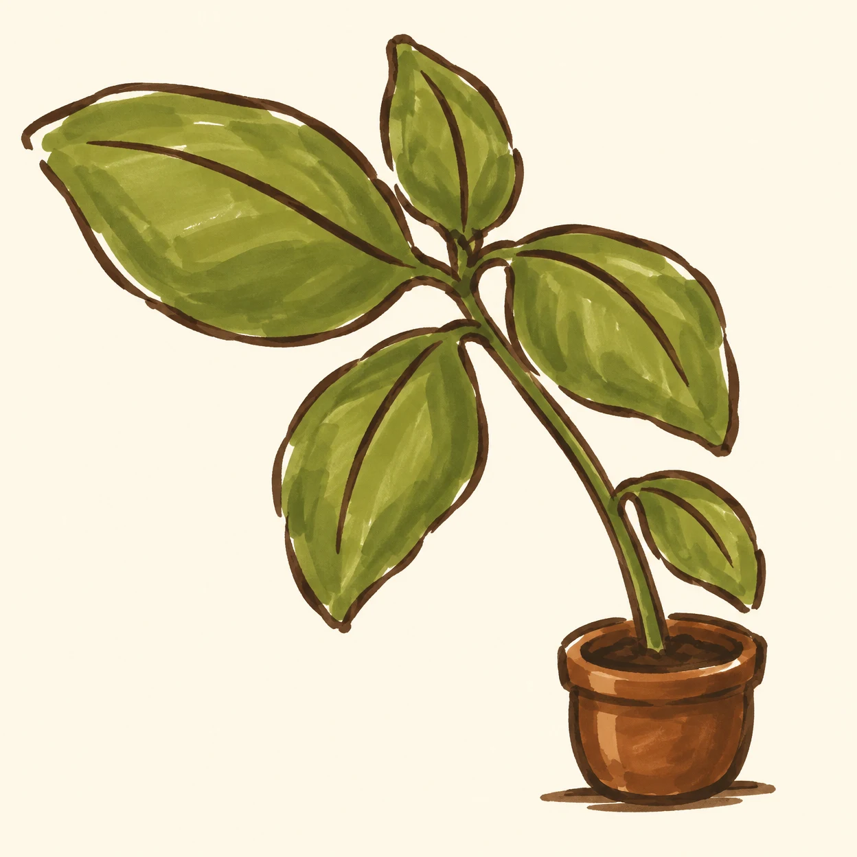 A hand-drawn basil plant with five broad green leaves on a curved stem in a small brown pot, against a warm ivory background.