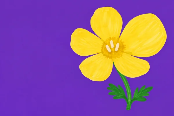 A large five-petaled yellow buttercup with three pale marks in its centre fills the right side of a violet background.